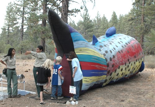 Fall Fish Festival, Taylor Creek, Lake Tahoe