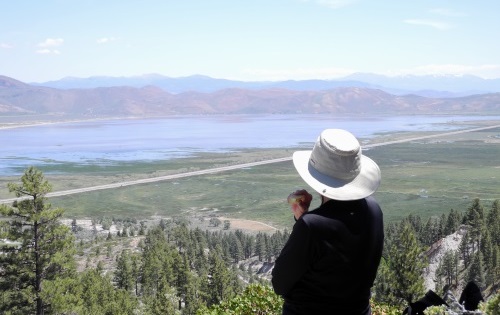 Washoe Valley view from the Ophir Creek Trail