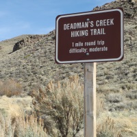 Deadman's Creek Trail, Washoe Lake State Park, Nevada, NV