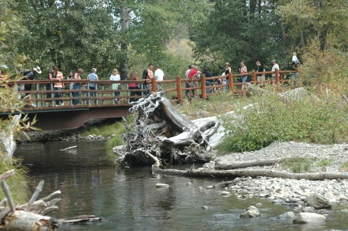 Fall Fish Festival, Taylor Creek Visitor Center, Lake Tahoe