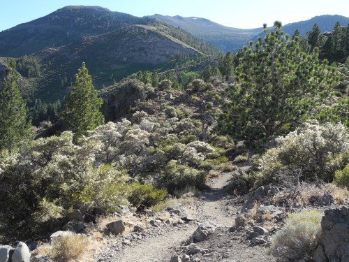 Galena Creek area hiking trails, Reno, Nevada
