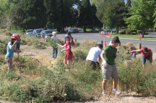 KTMB volunteers at a cleanup event