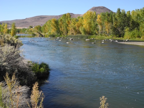 McCarran Ranch Preserve, Truckee River, Reno, Nevada, NV