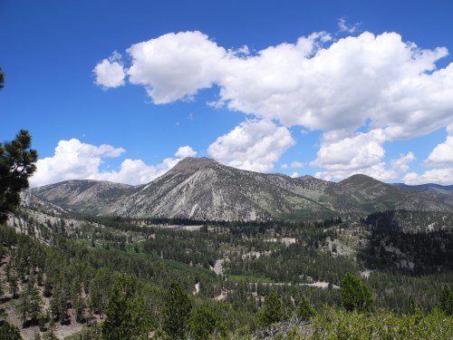 Great views of Mt. Rose from the Slide Mountain Trail