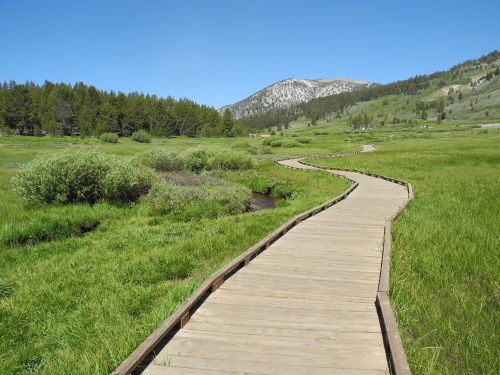 Tahoe Meadows Interpretive Loop Trail