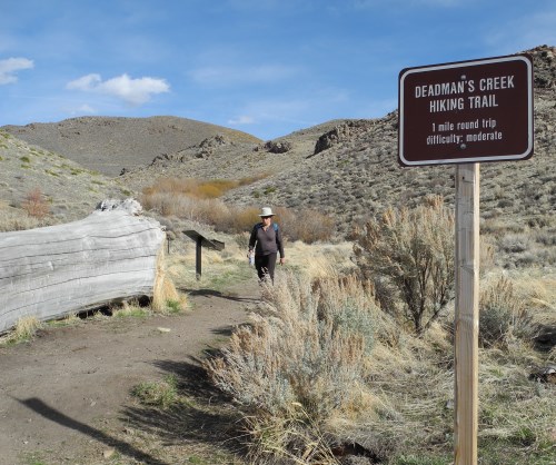 Deadman's Creek Trail at Washoe Lake State Park, Nevada